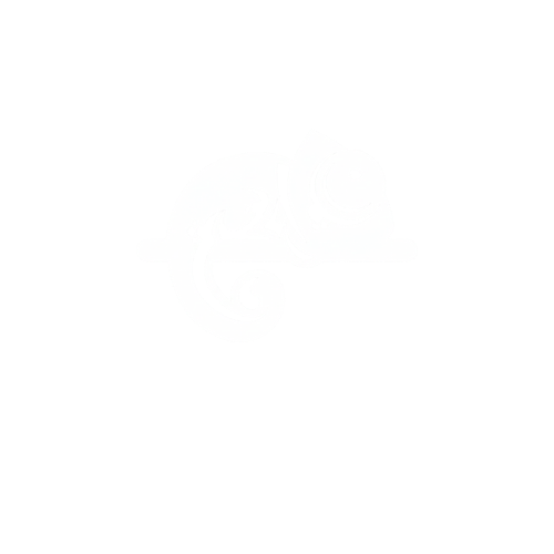 Kamelo